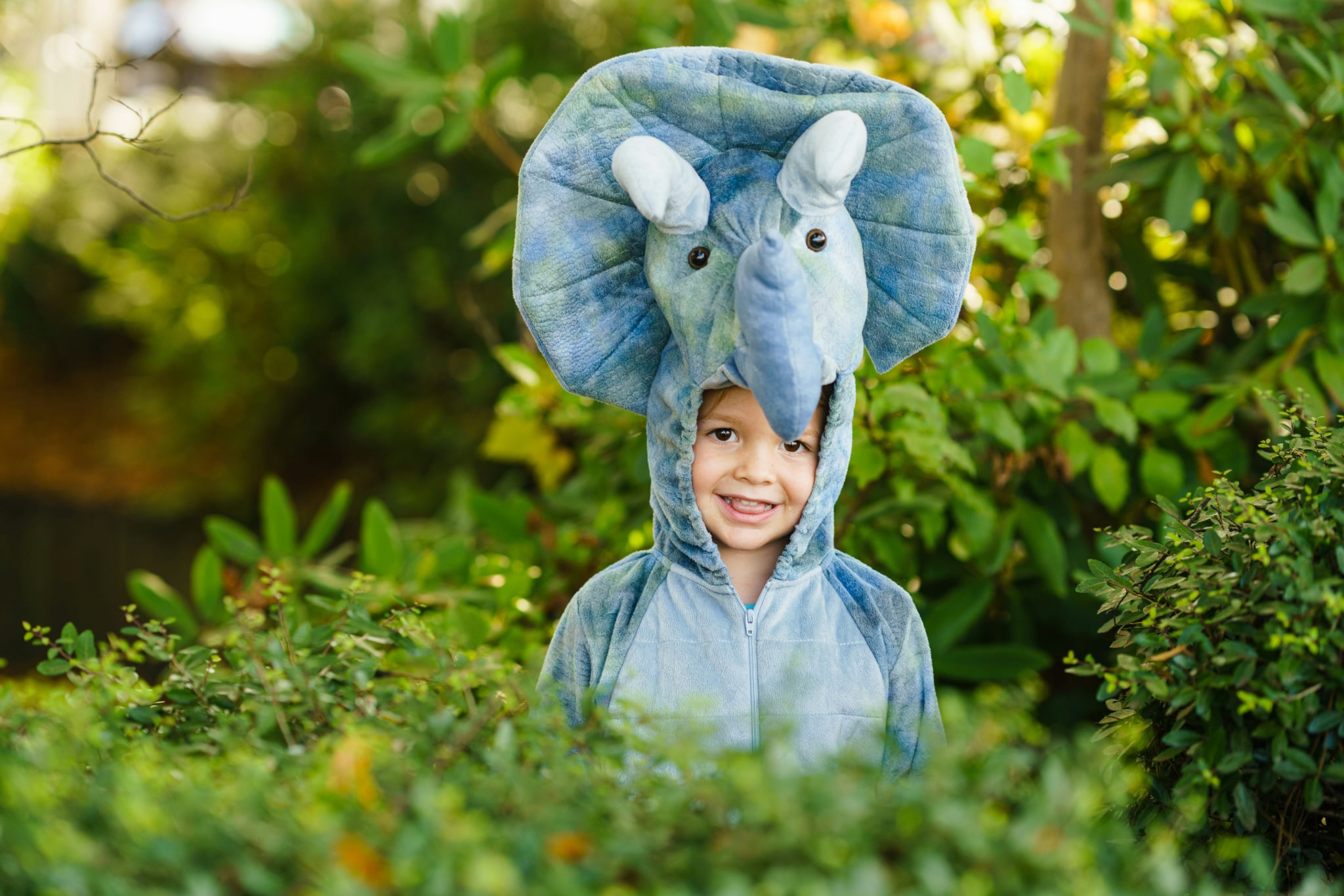 dinosaures anniversaire
